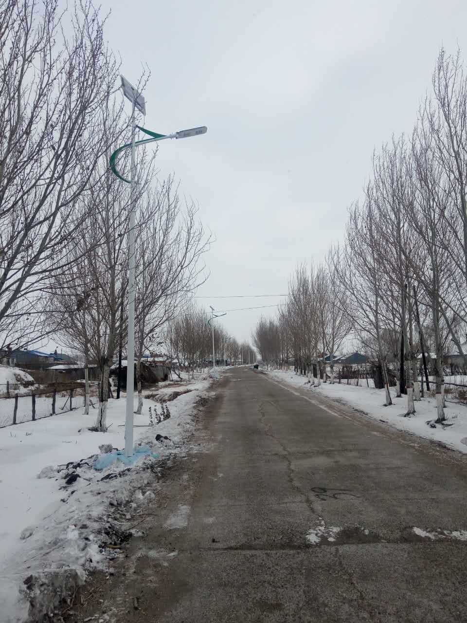 一體化太陽(yáng)能路燈10